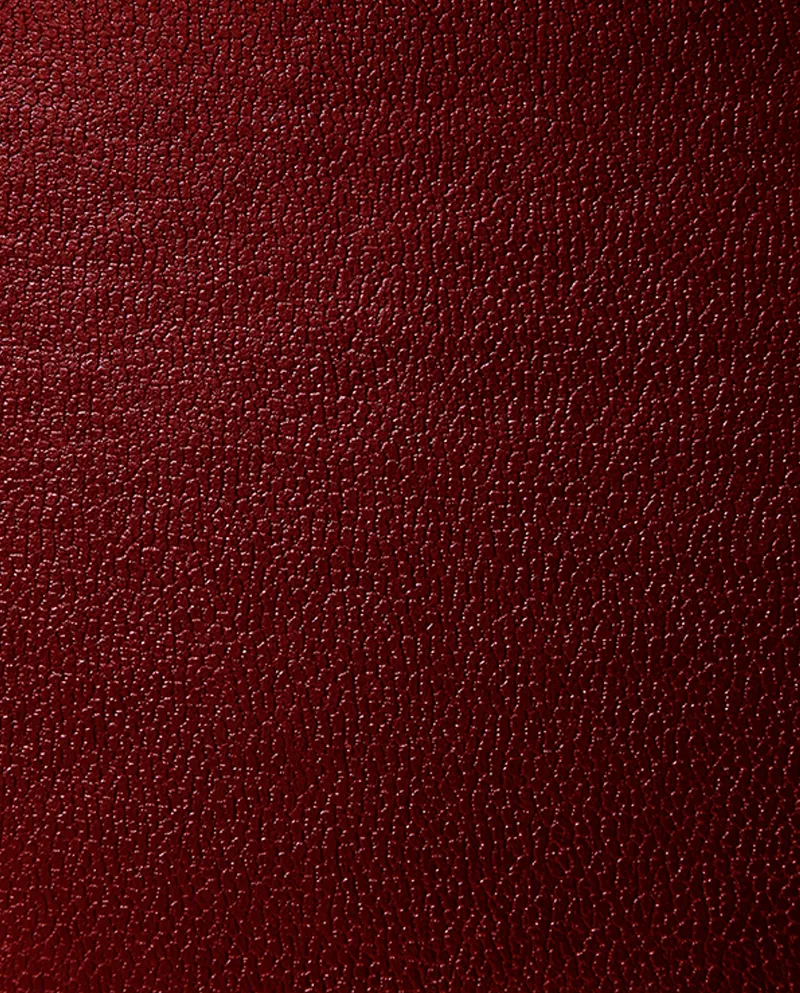 Texture pelle marrone tendente al rosso